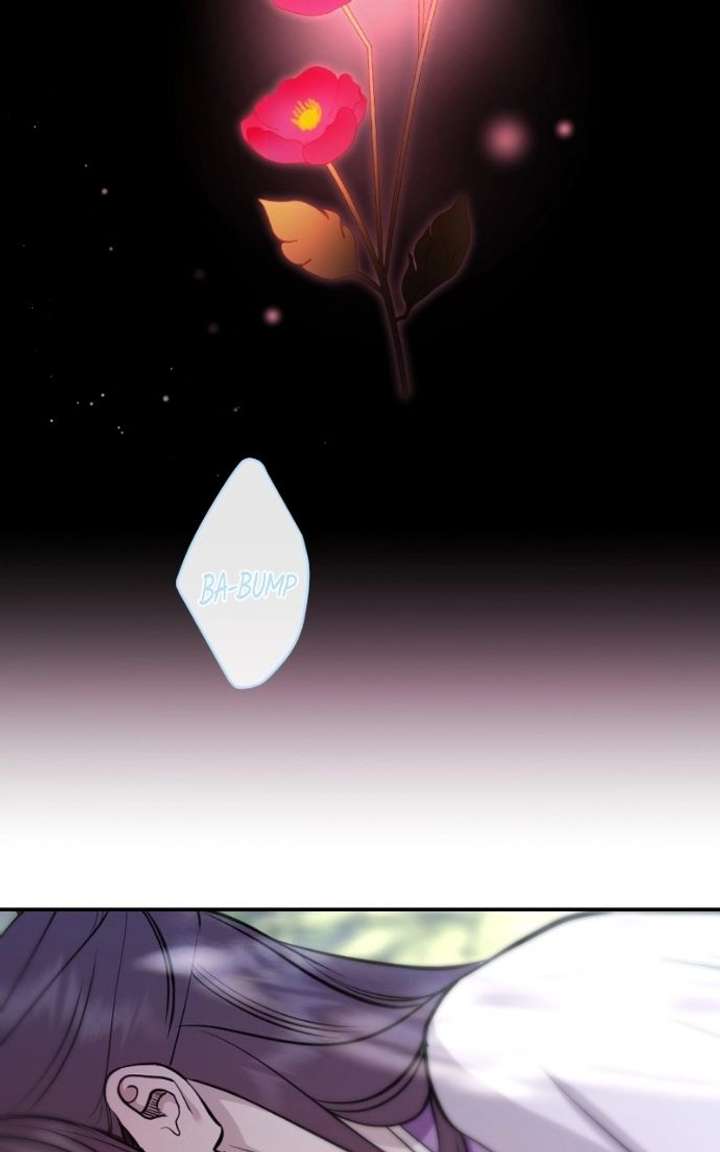 ch 135 6