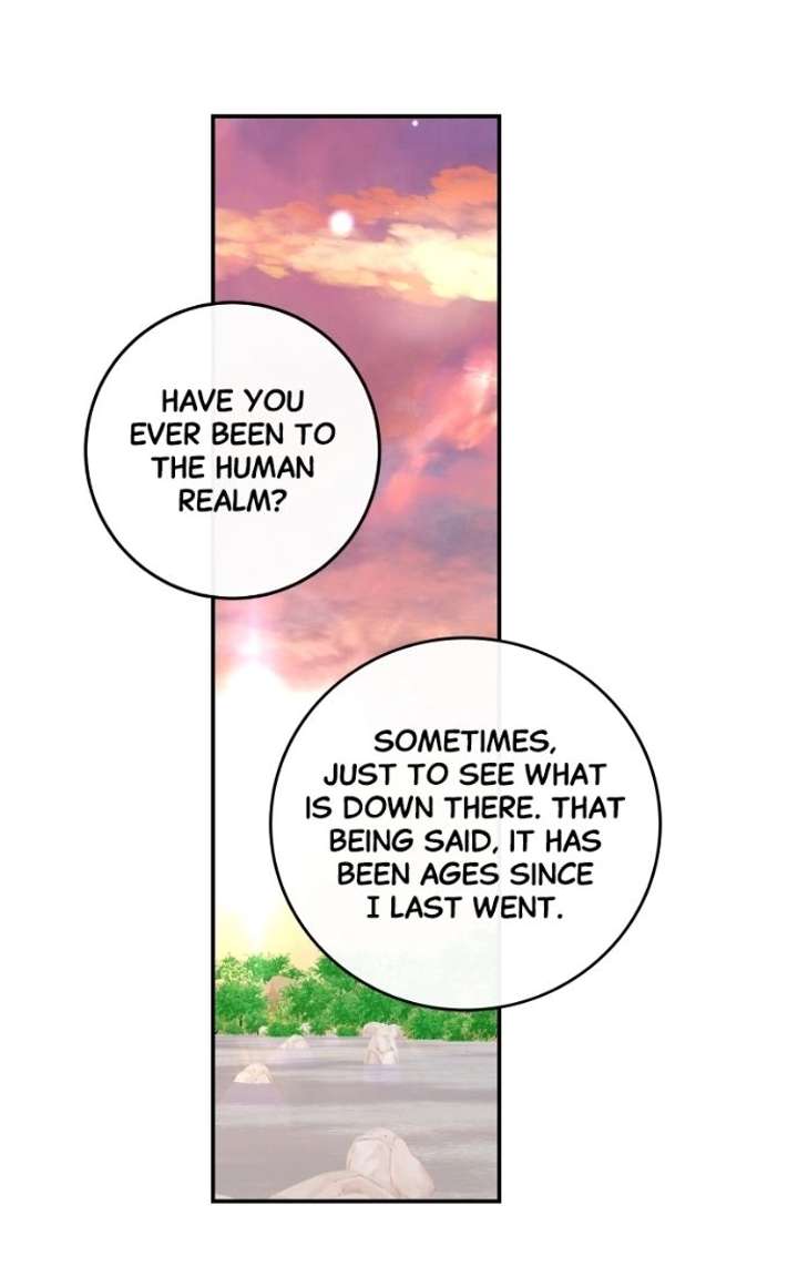 ch 135 85