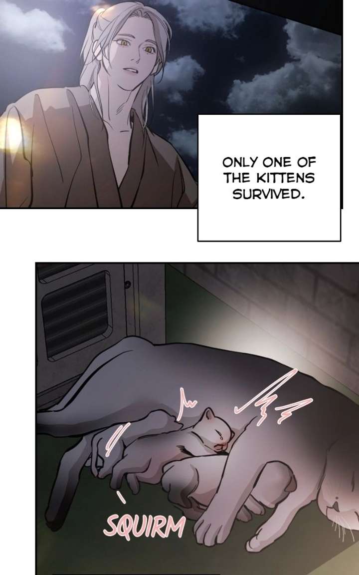 ch 143 95