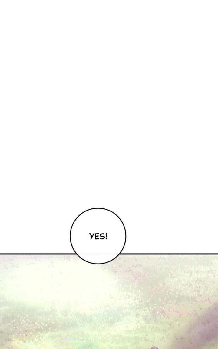 ch 144 104