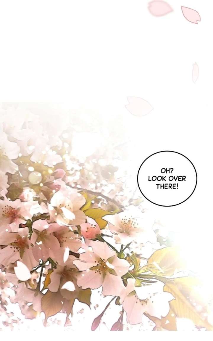 ch 144 74