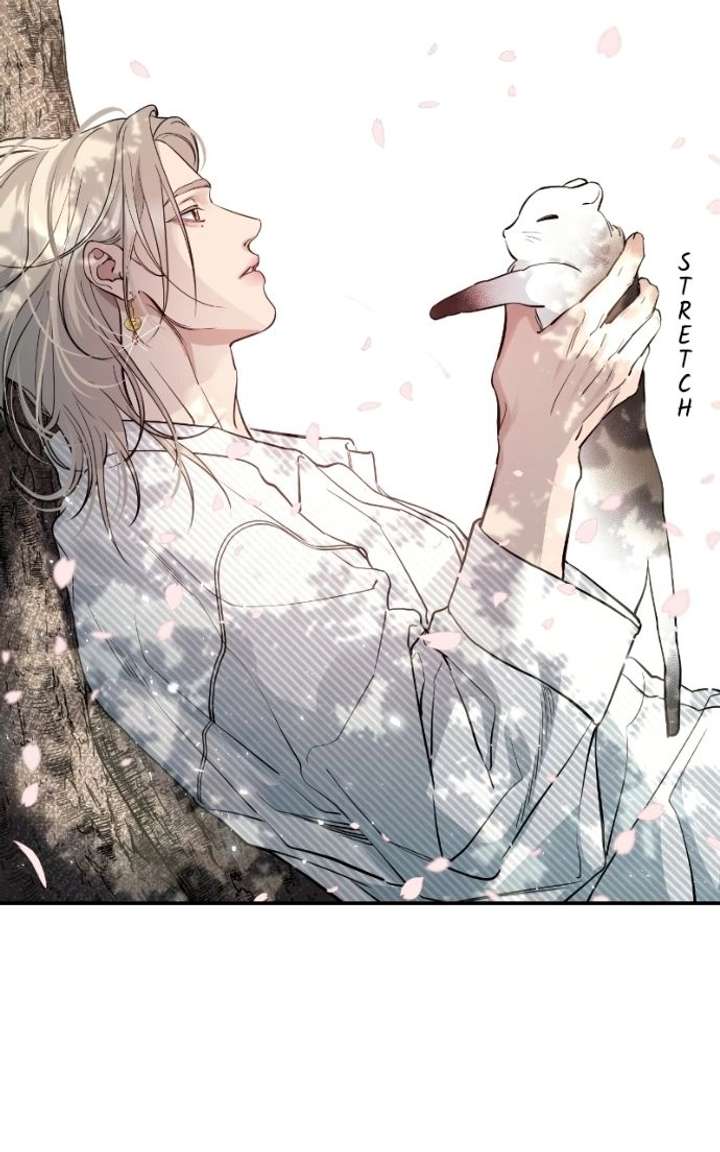 ch 144 85