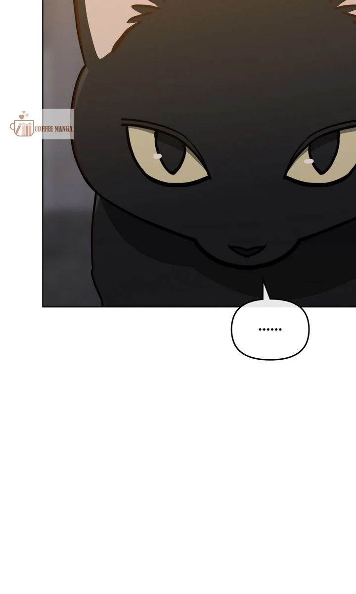chap 10 72