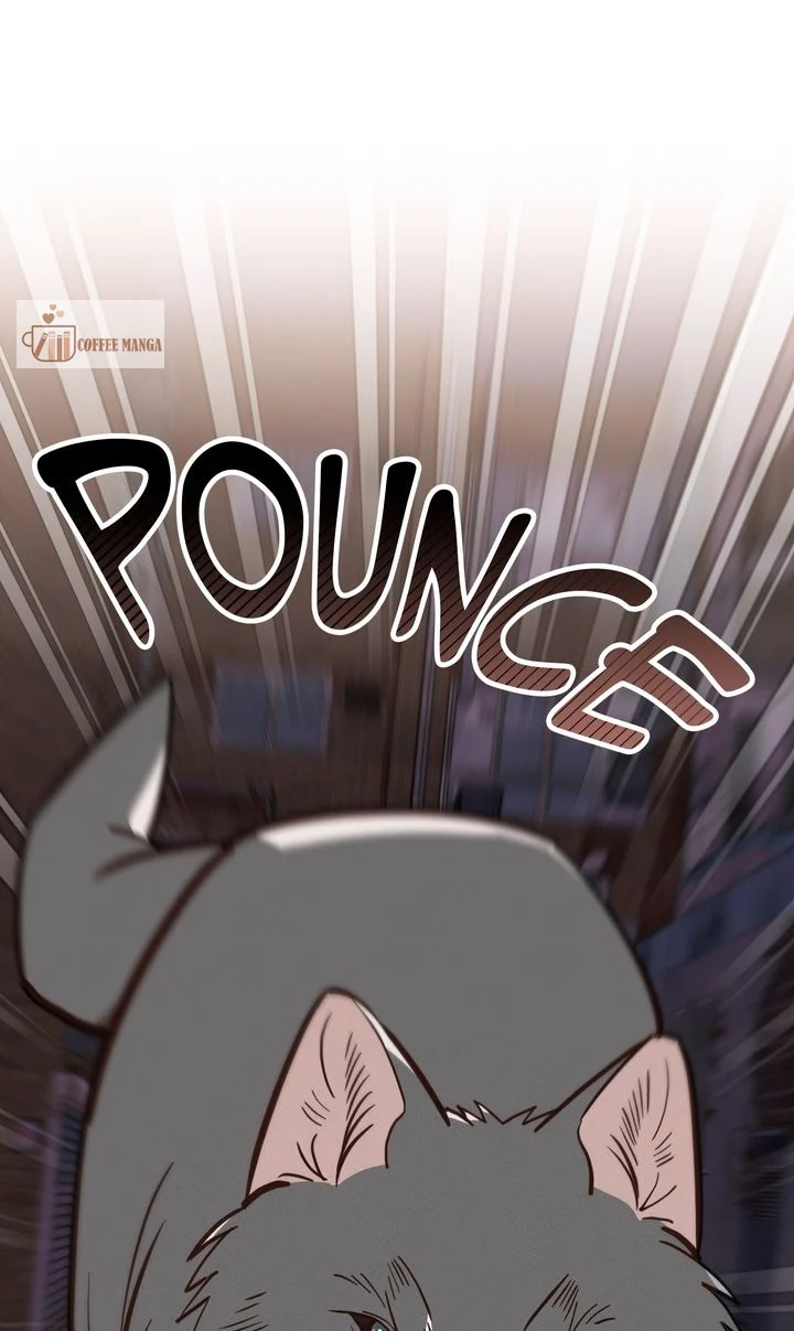 chap 11 1