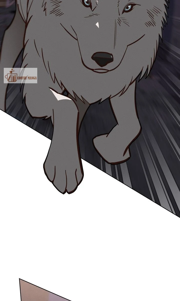 chap 11 2