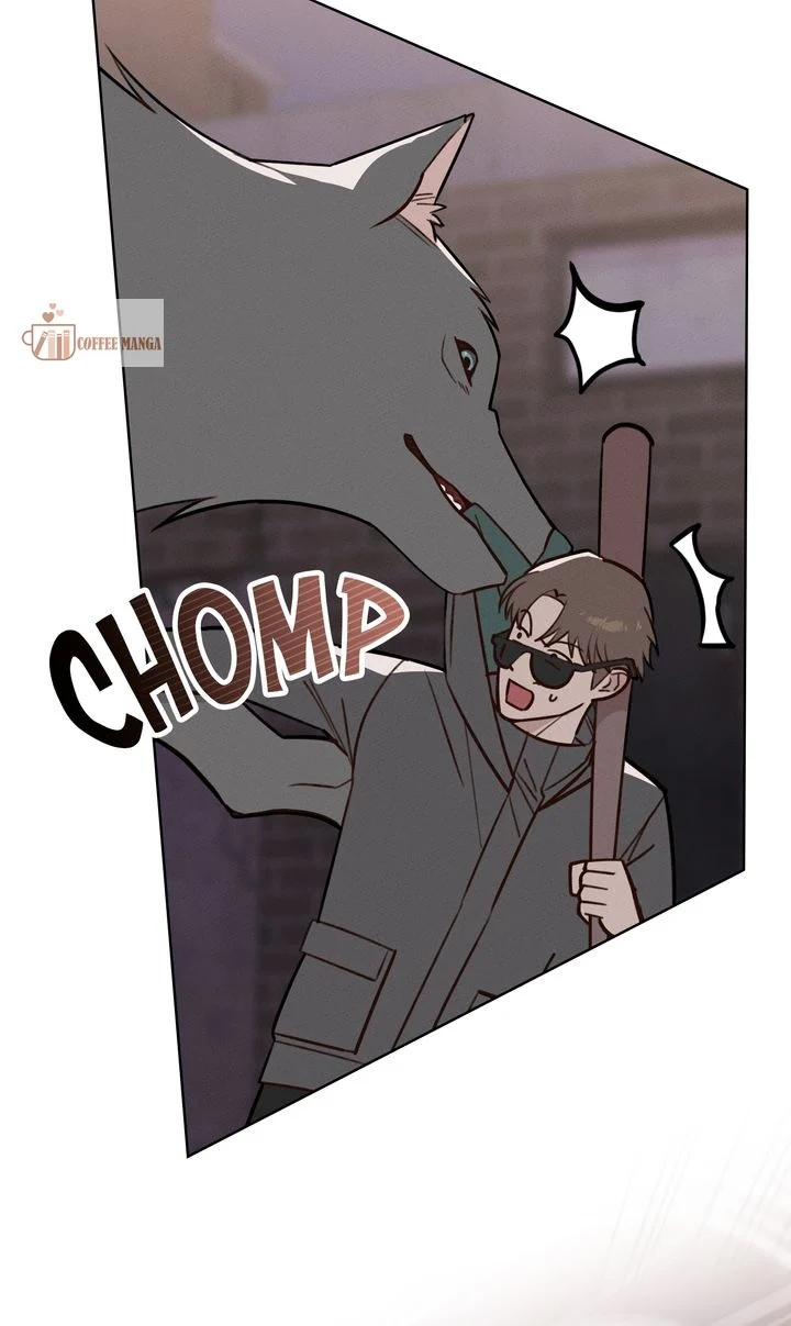 chap 11 3