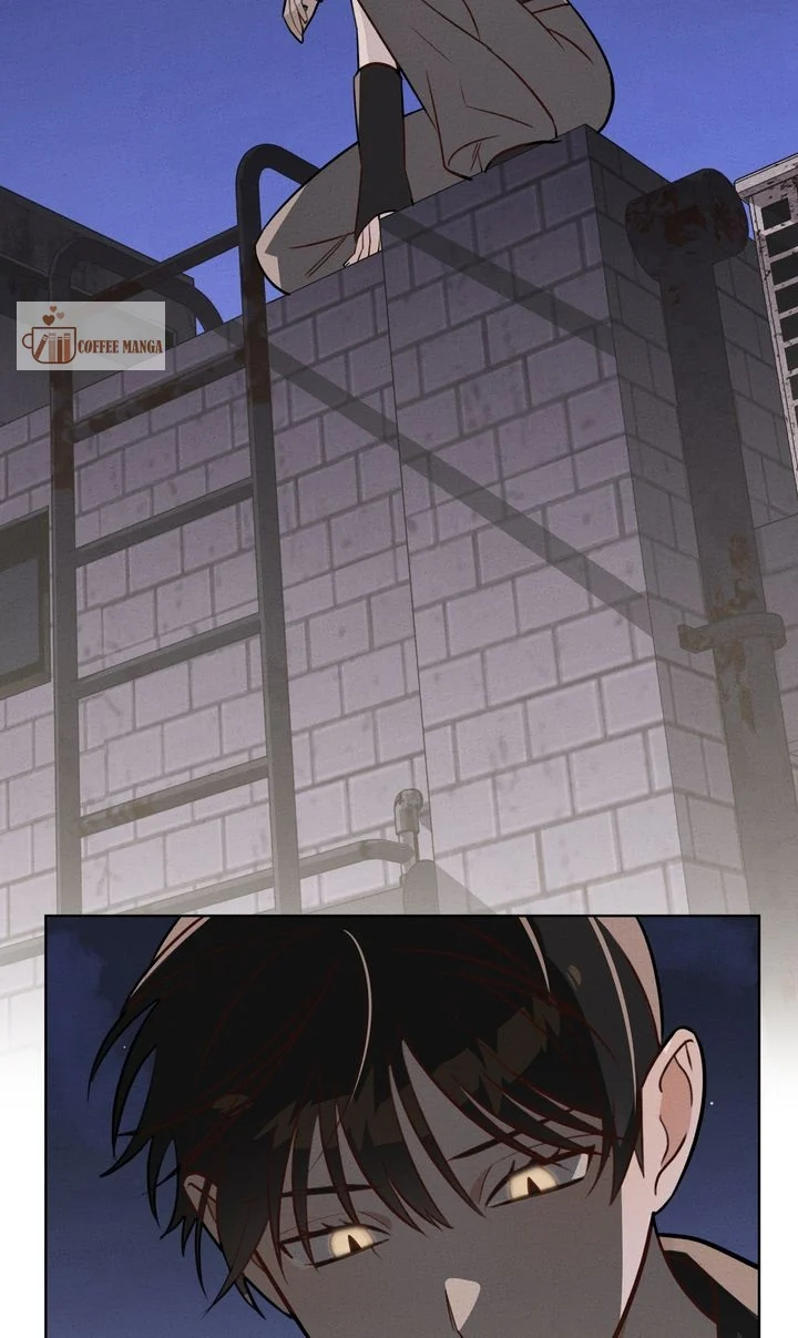 chap 11 51
