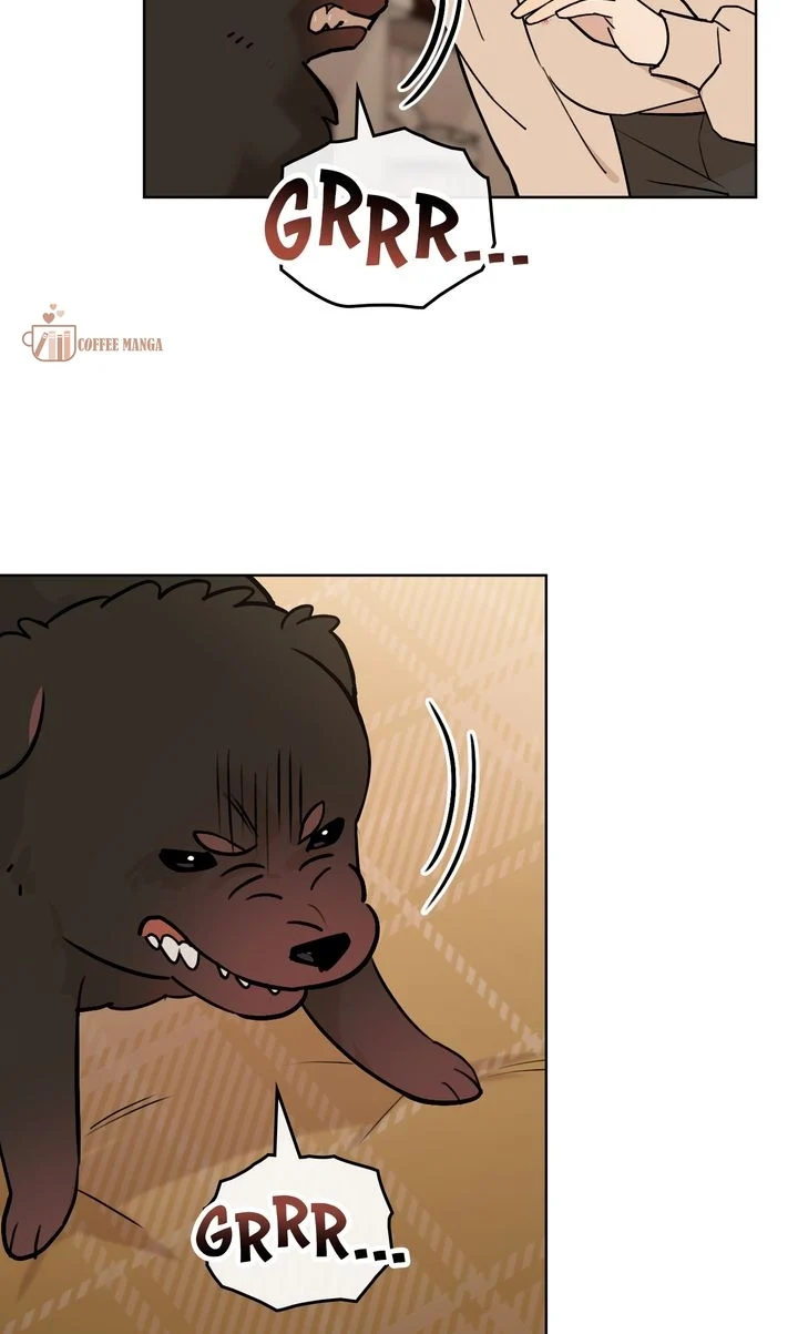 chap 1 46