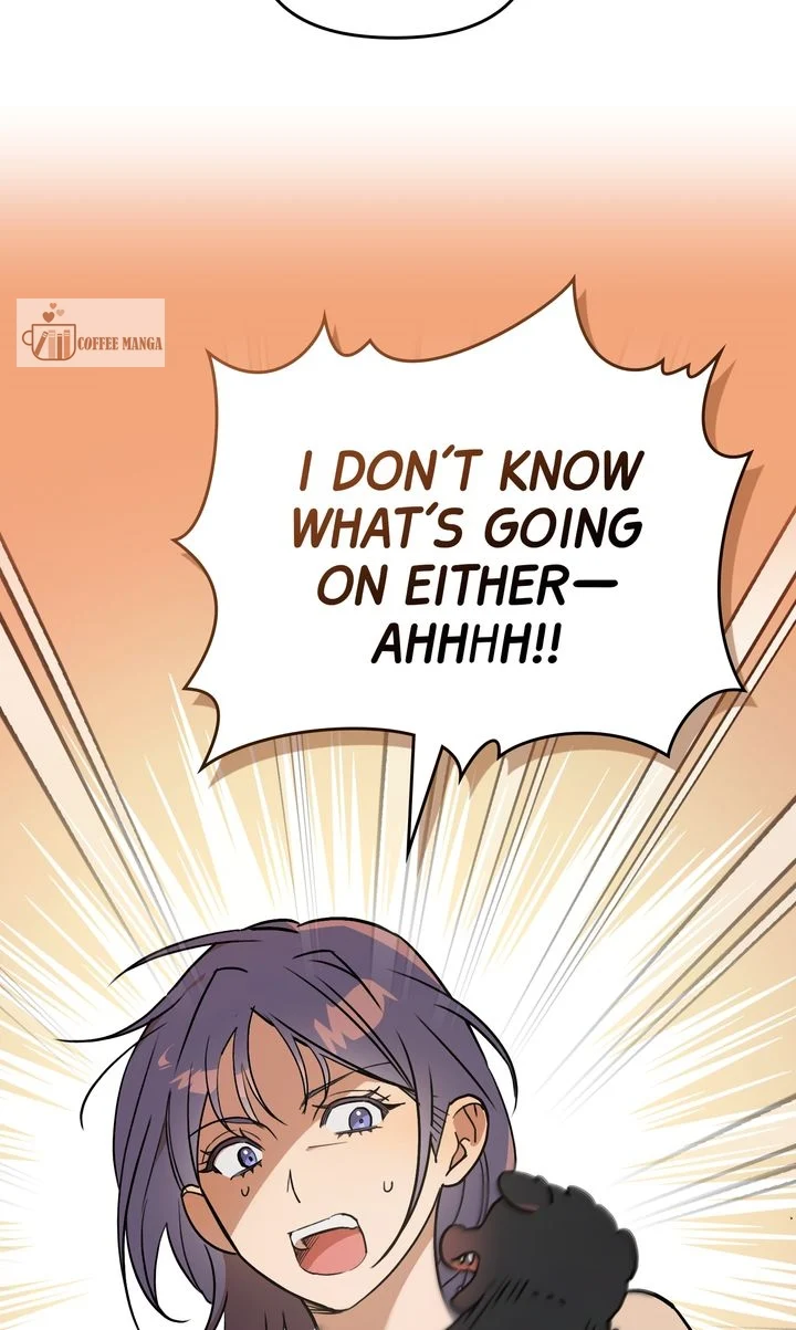 chap 1 48