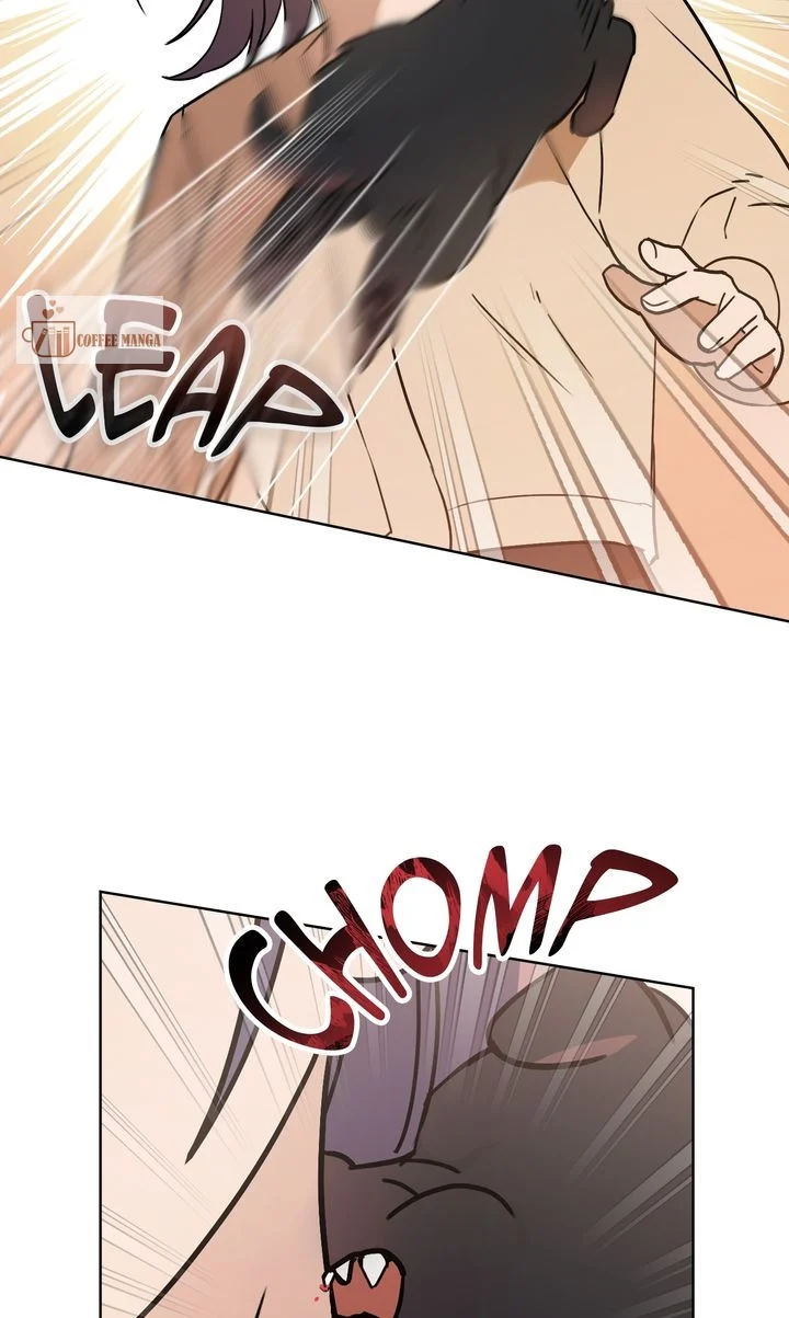 chap 1 49