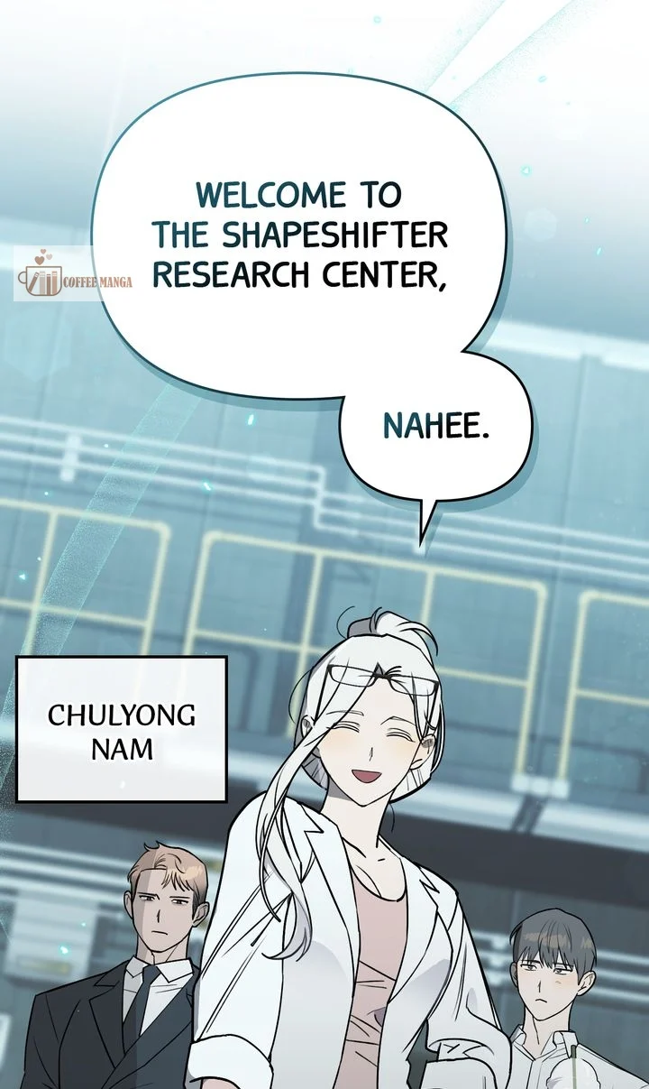 chap 3 17