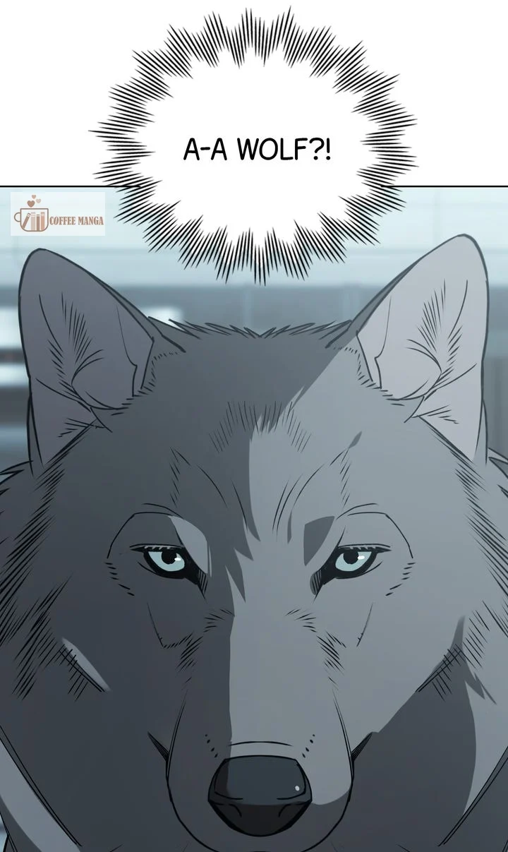 chap 3 3