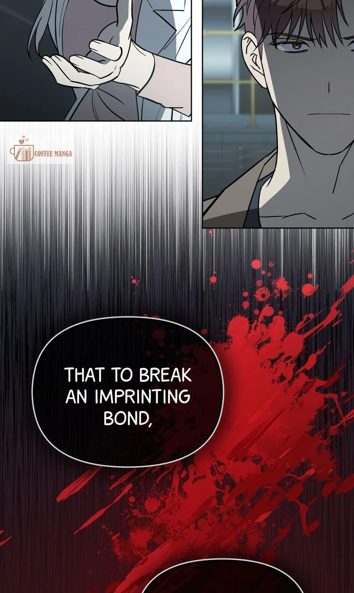 chap 3 67