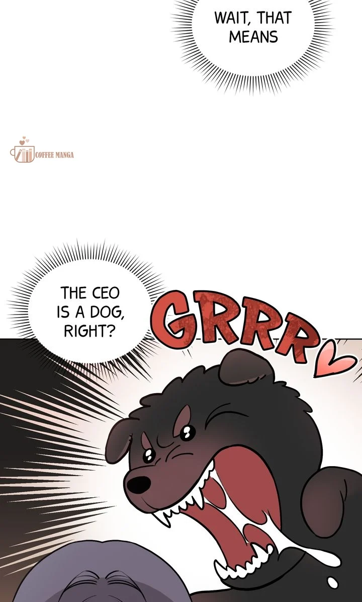 chap 4 46