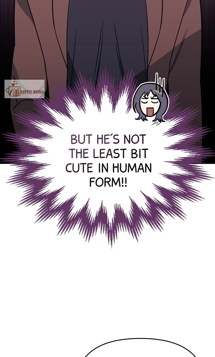 chap 4 49