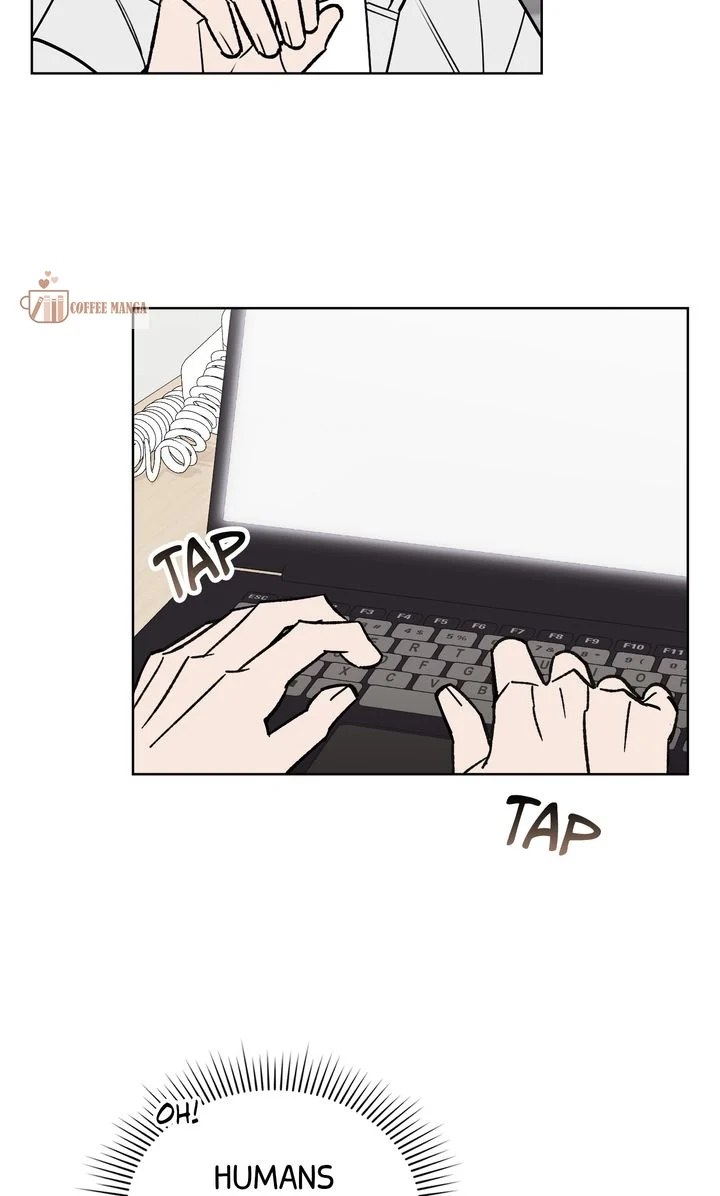 chap 4 74