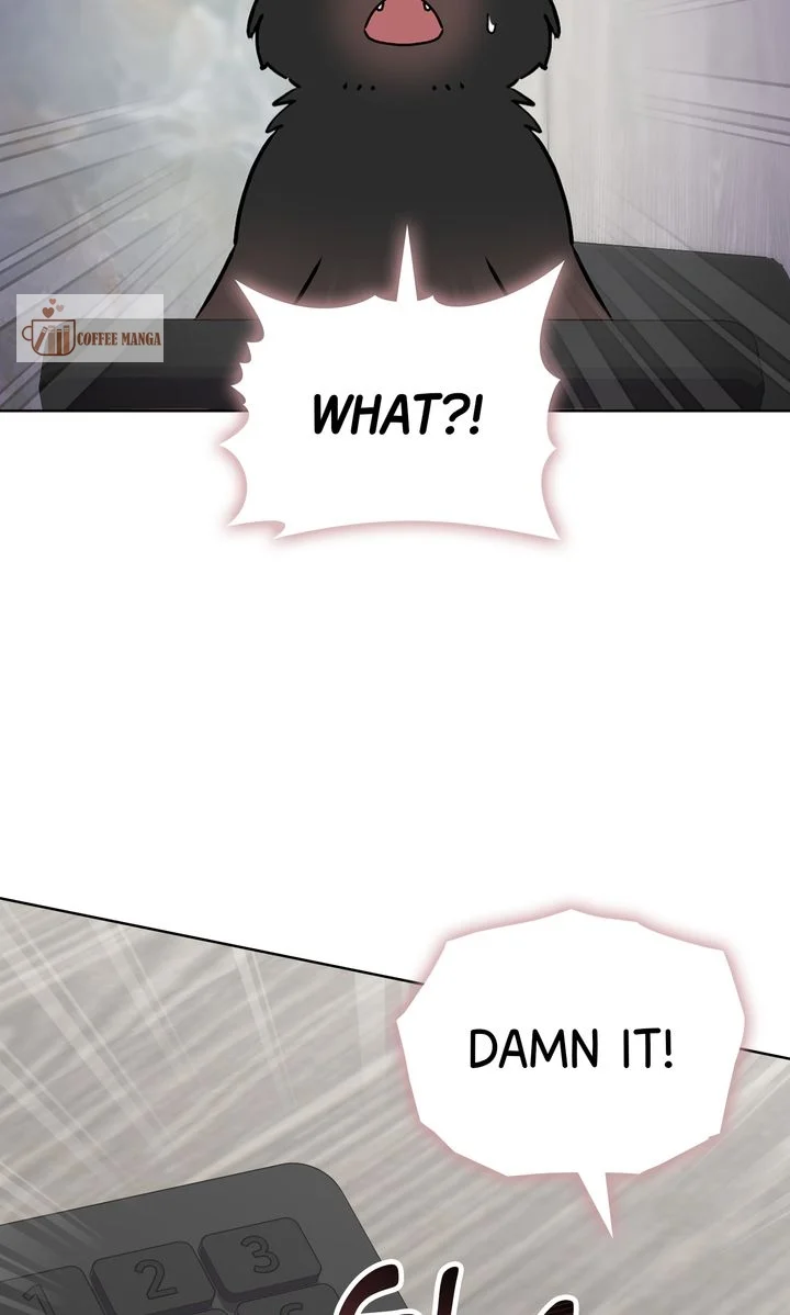 chap 5 81