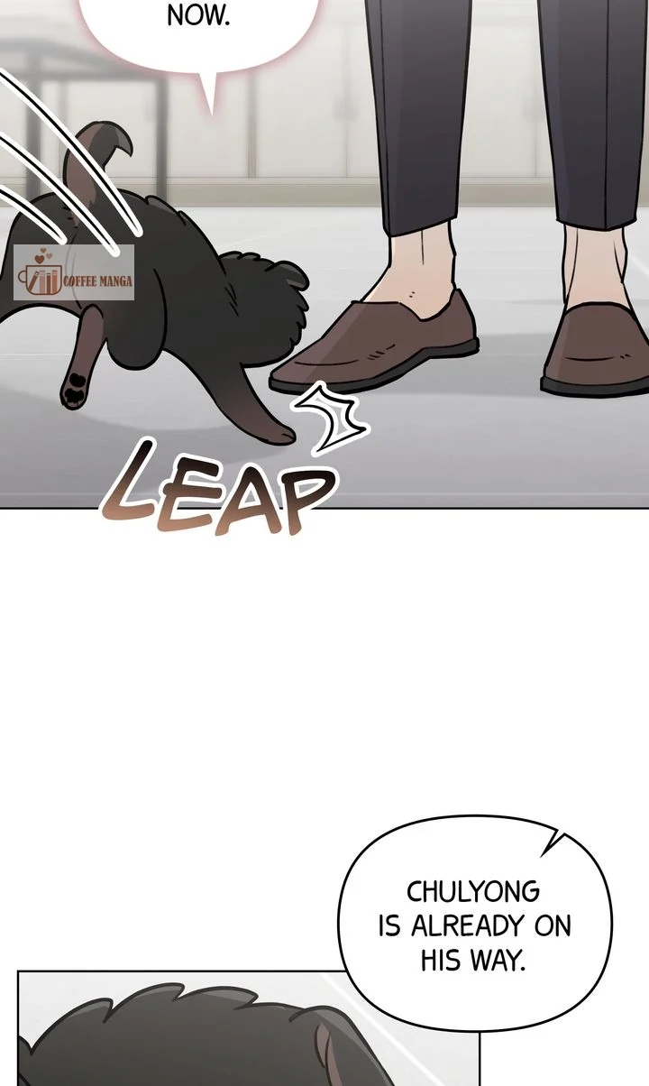 chap 6 10