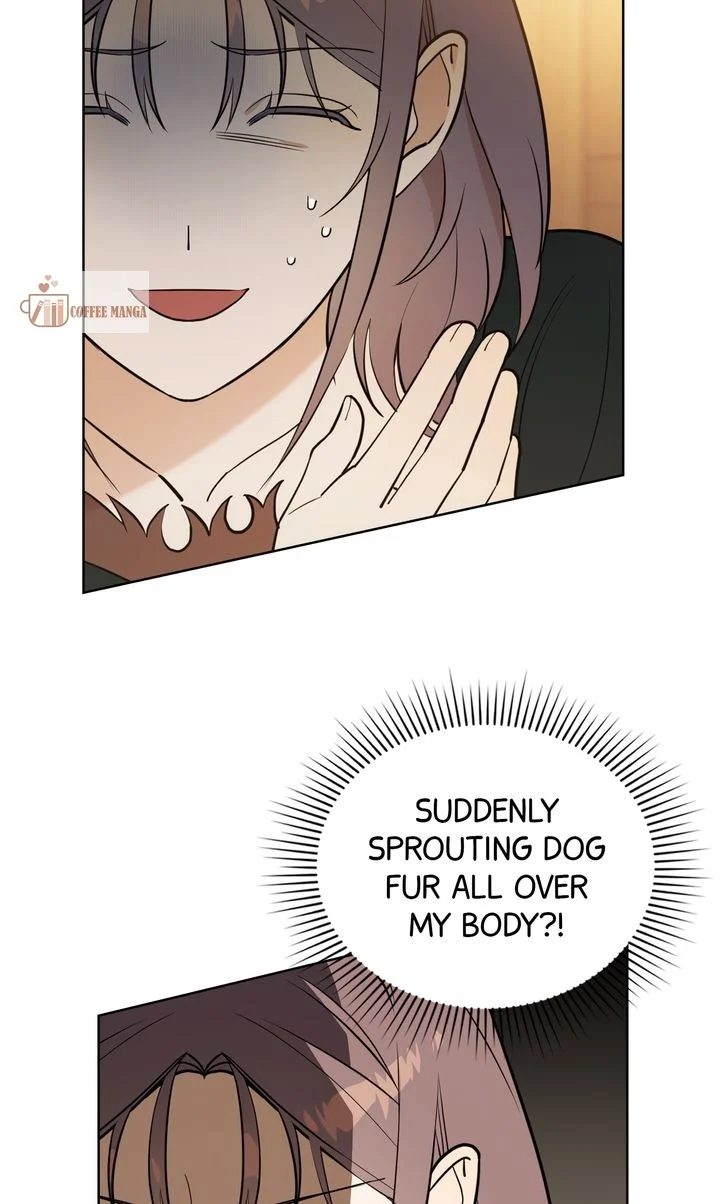 chap 6 28