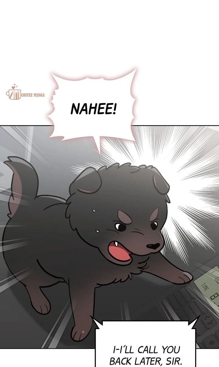 chap 6 6