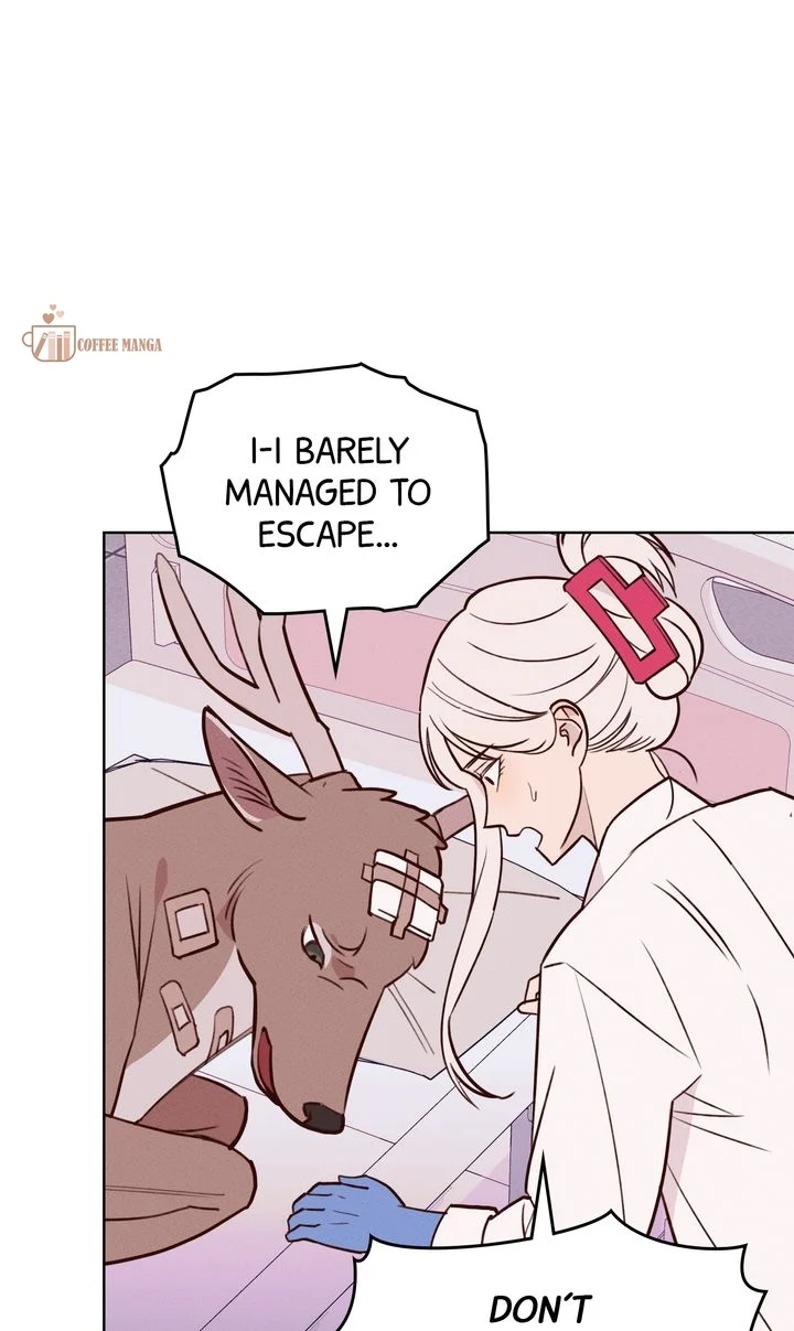 chap 8 66