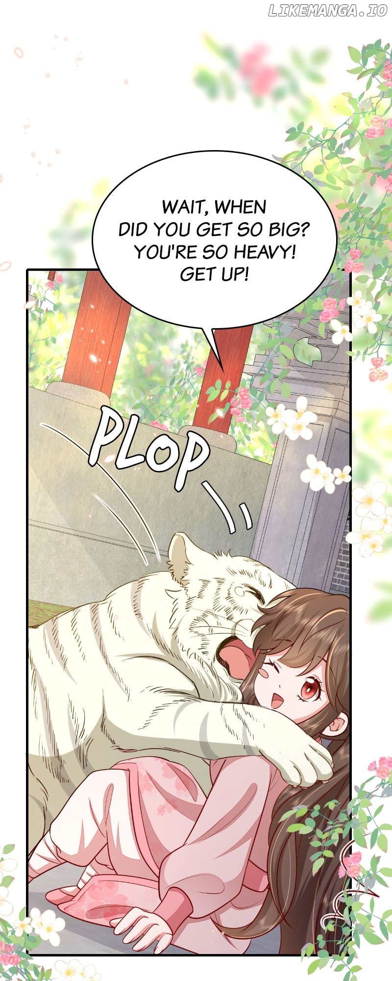 chap 97 5