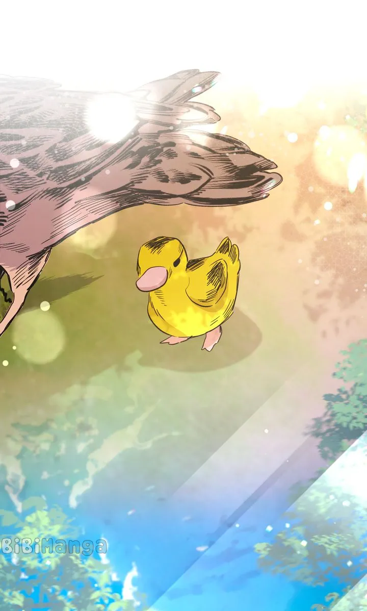 chap 22 1