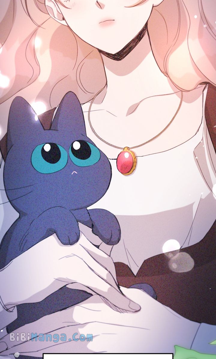 chap 33 37