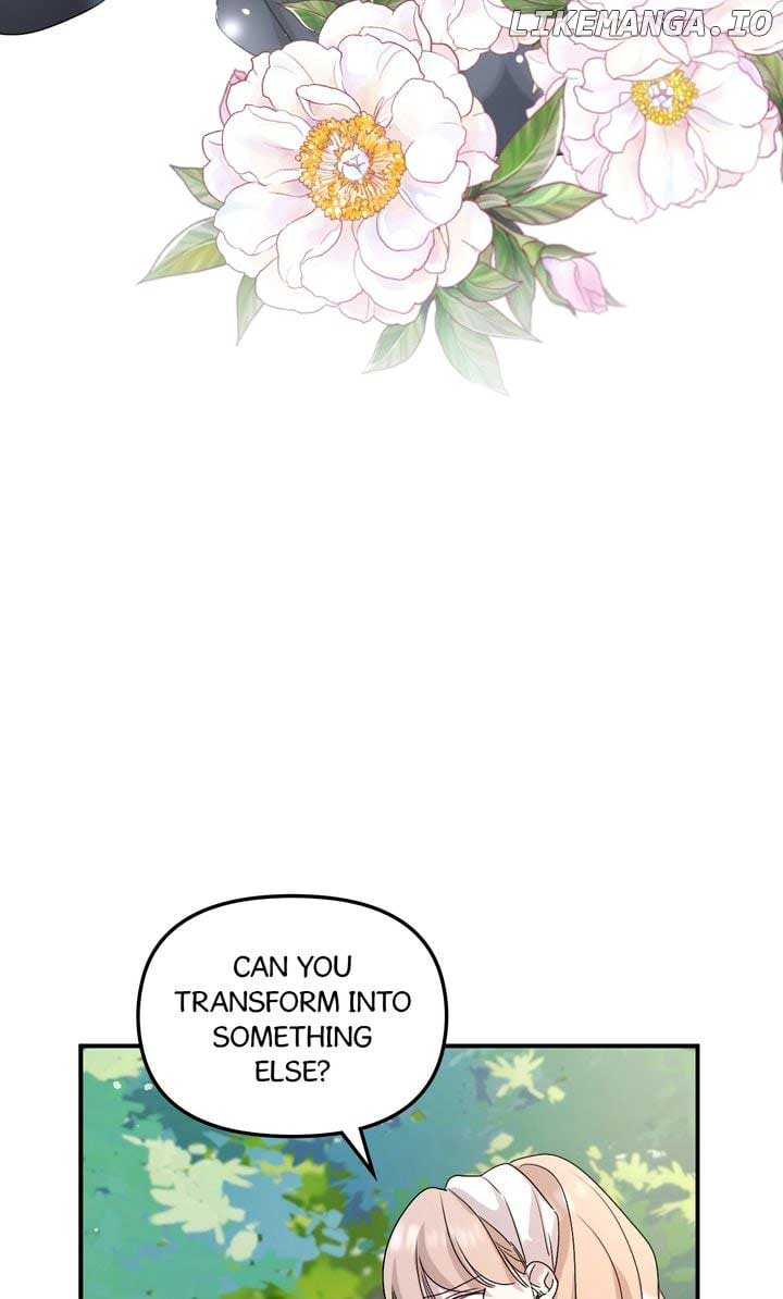 chap 36 38