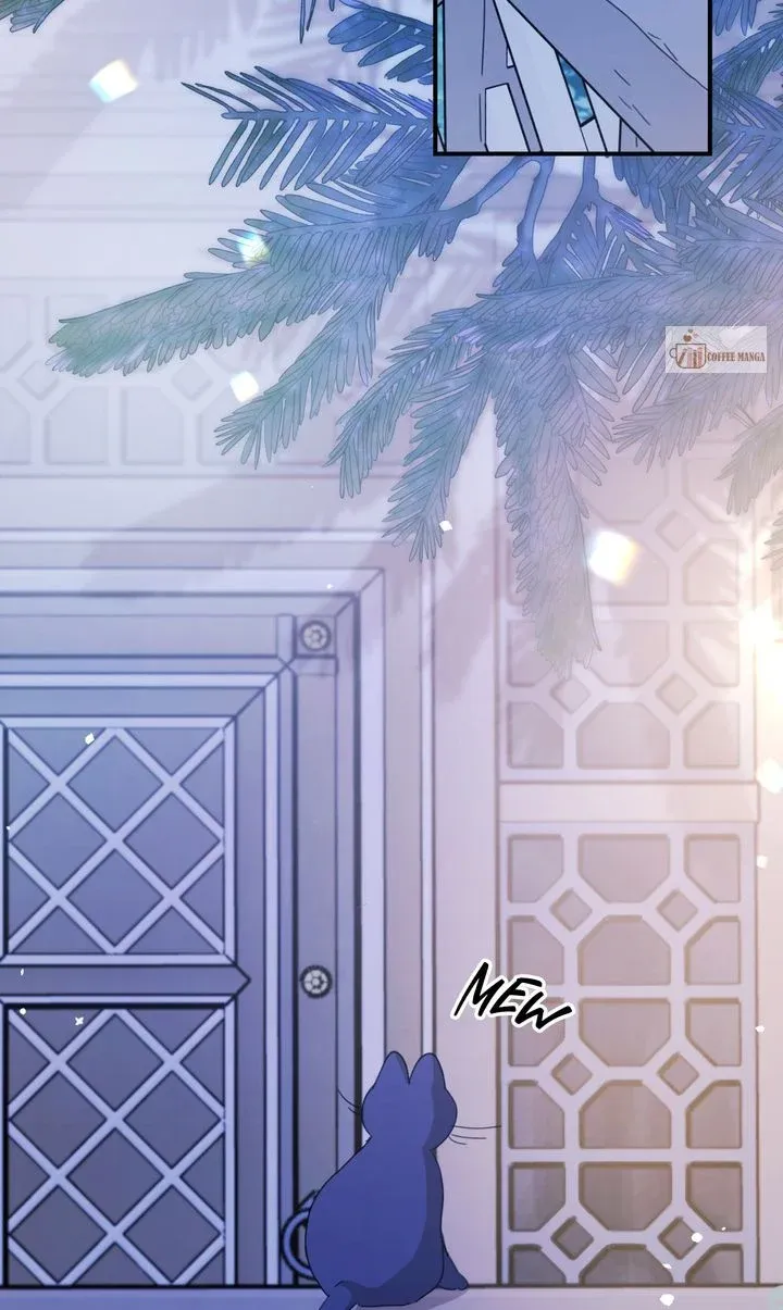 bfa9da289dea