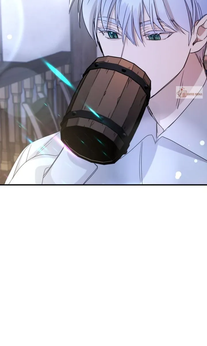 113f97281155