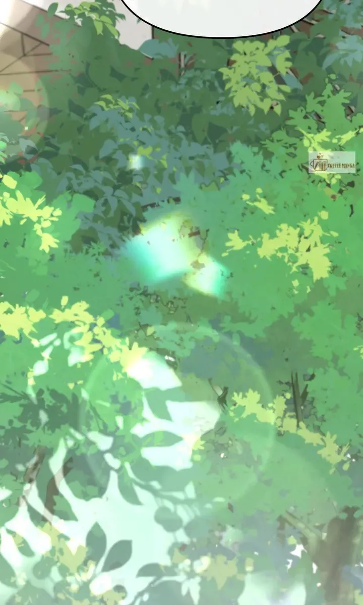 fe0650d4e21a
