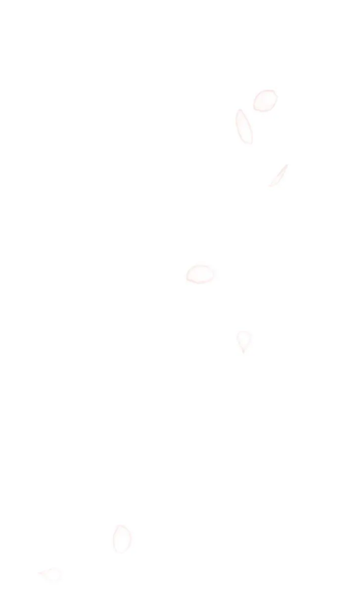 fe835610bc57