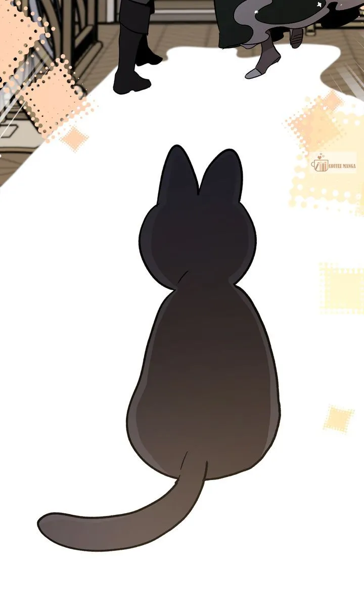 71ef6ff8b310