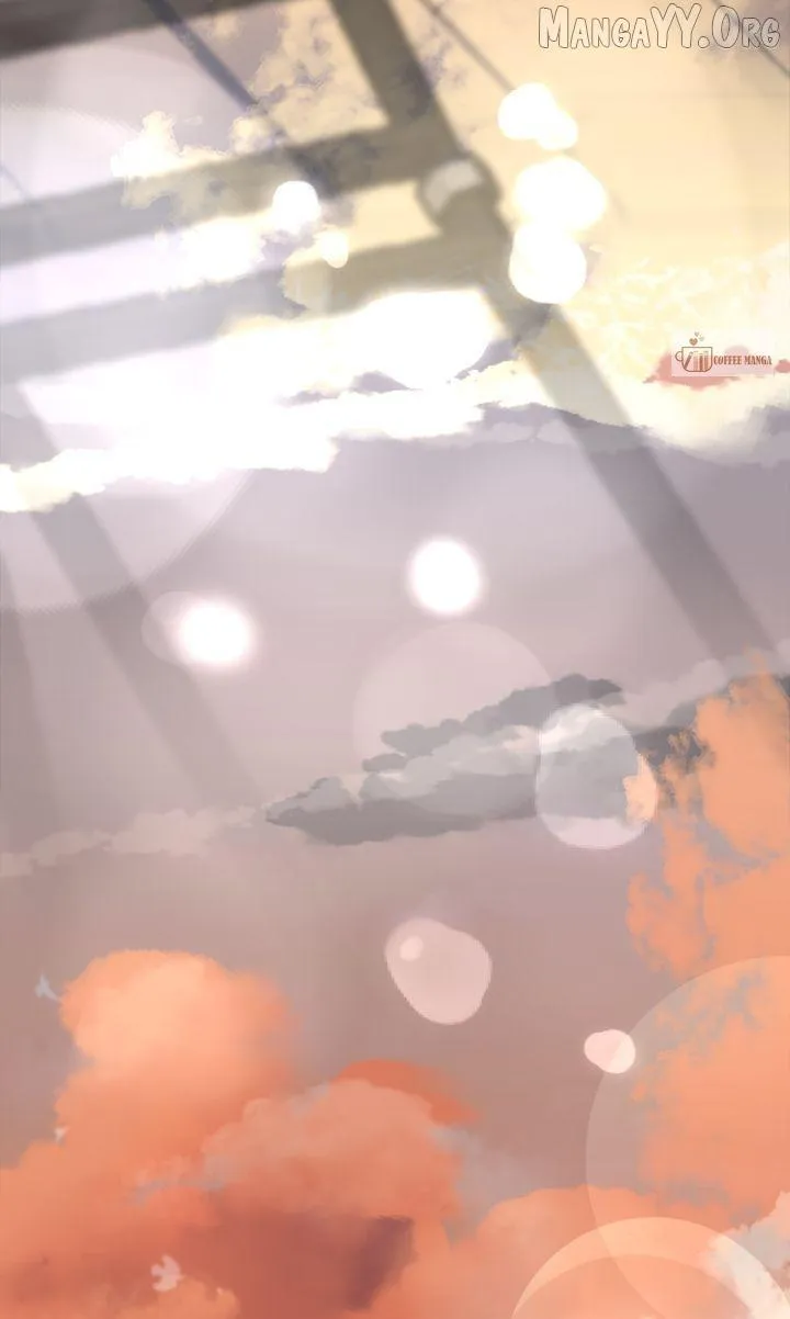 c56c1ea8fb36