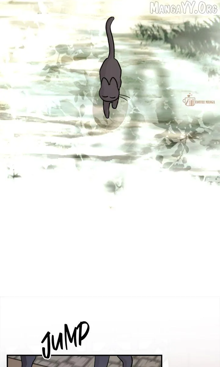 700a117df467