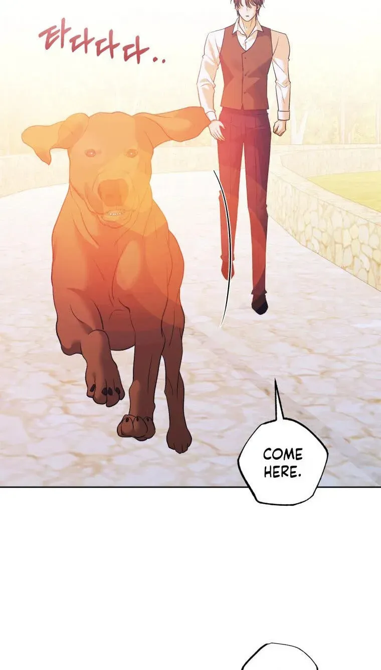 Bitten By The Dog I Abandoned Chapter 119 359 789b90edfa07 50 webp
