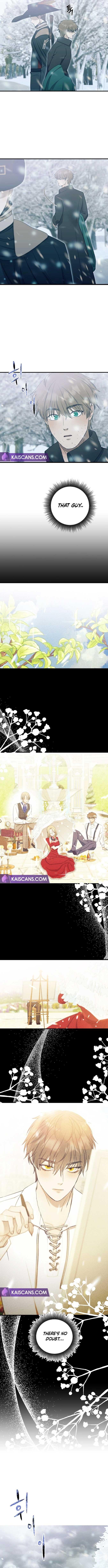 chap 11 12