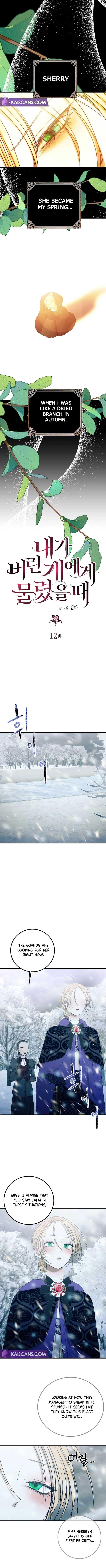 chap 11 5