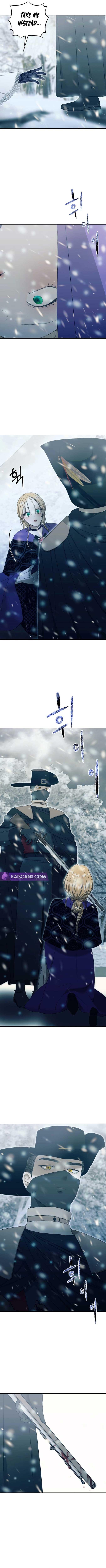 chap 11 8
