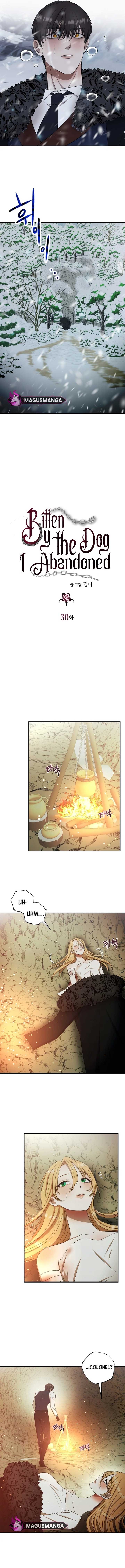 chap 29 3
