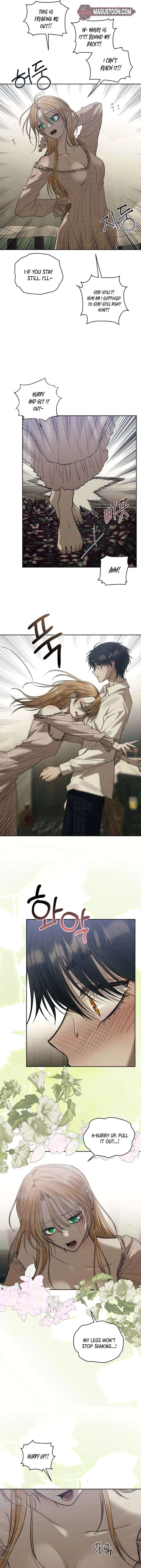 ch 88 8
