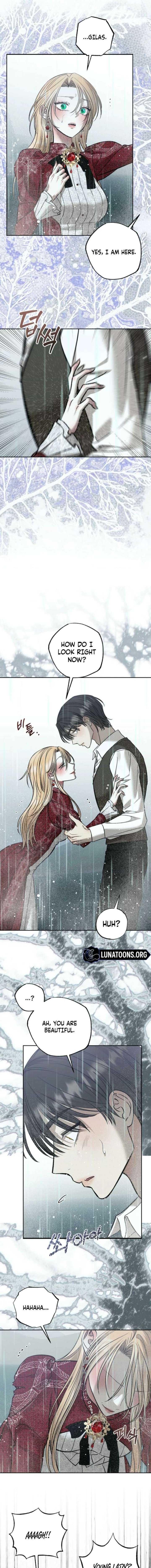 ch 95 15