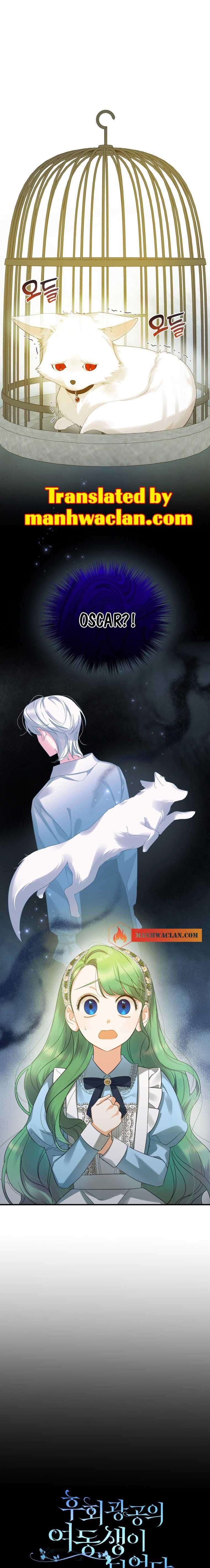 chap 11 1
