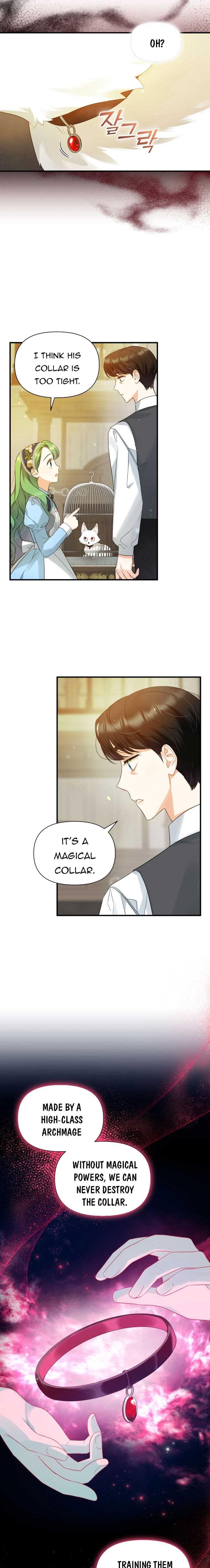 chap 11 11