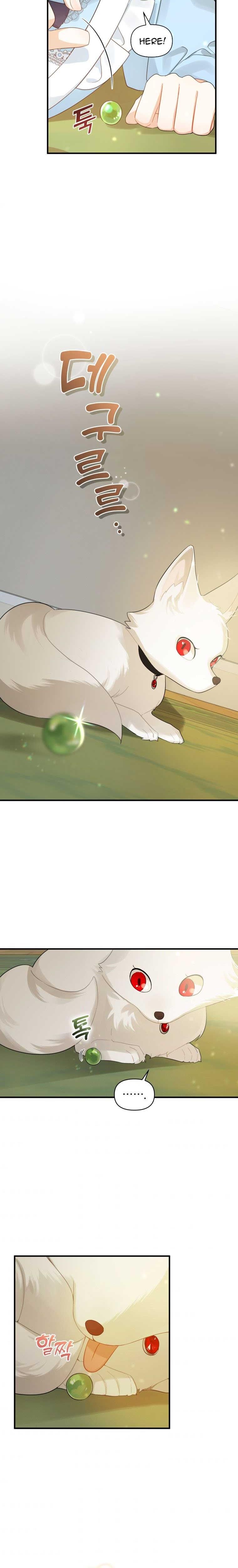 chap 11 17