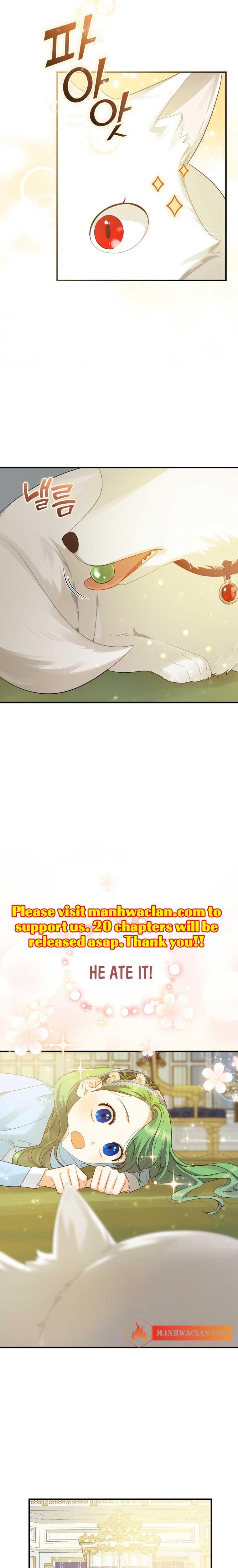 chap 11 18