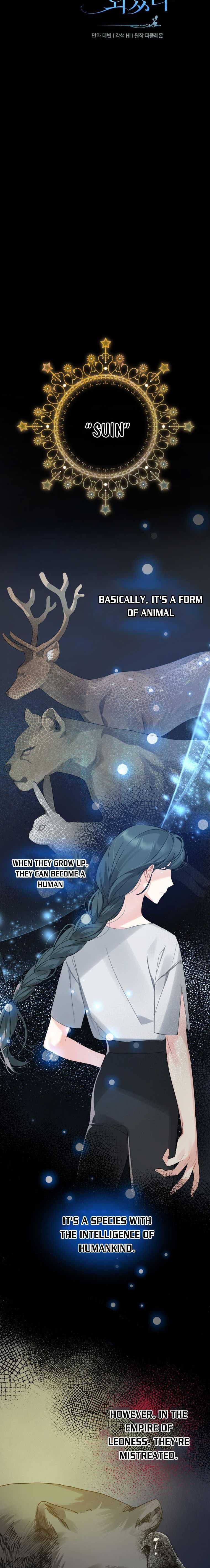chap 11 2