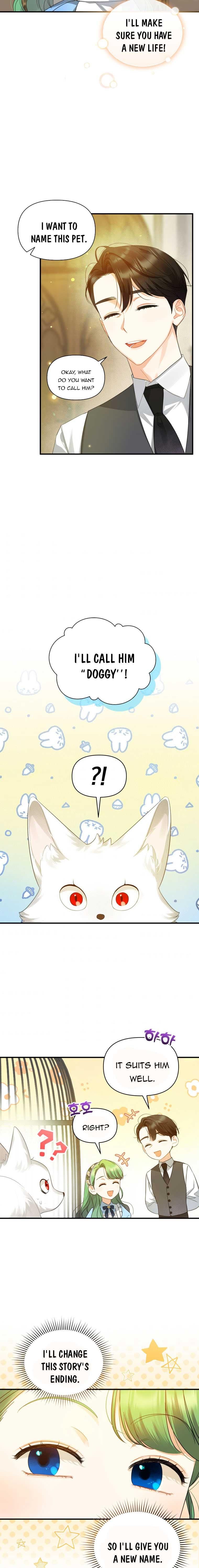 chap 11 8