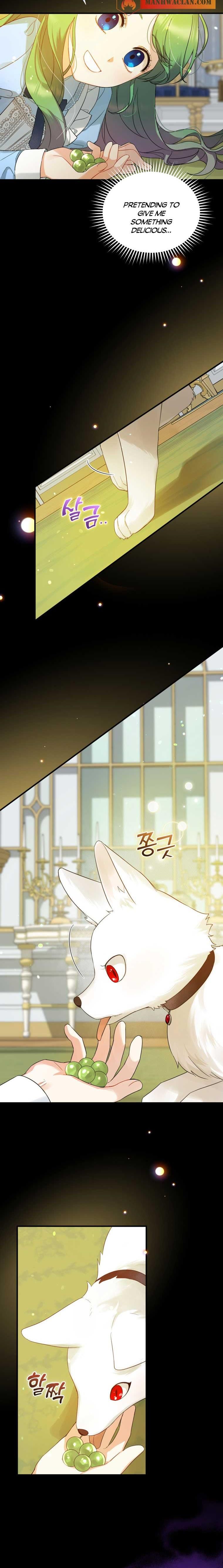 chap 12 5